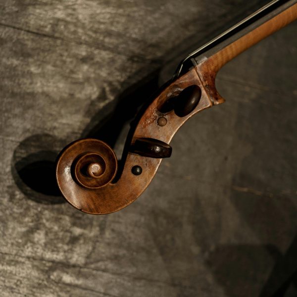 Voluta de um violino, de uma viola d'arco ou de um violoncelo.